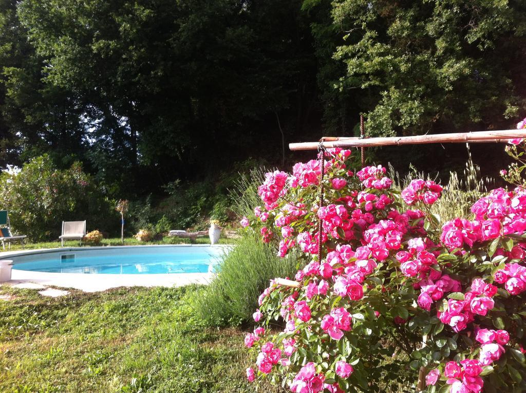 Villa Arianna B&B Lari ภายนอก รูปภาพ