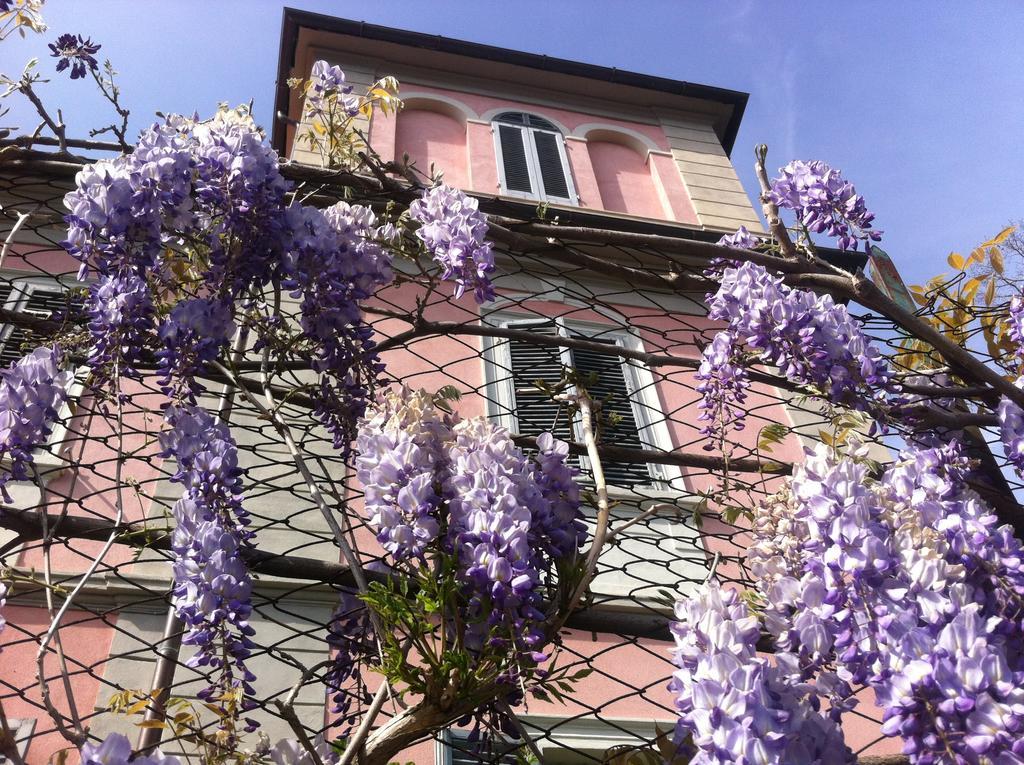 Villa Arianna B&B Lari ภายนอก รูปภาพ