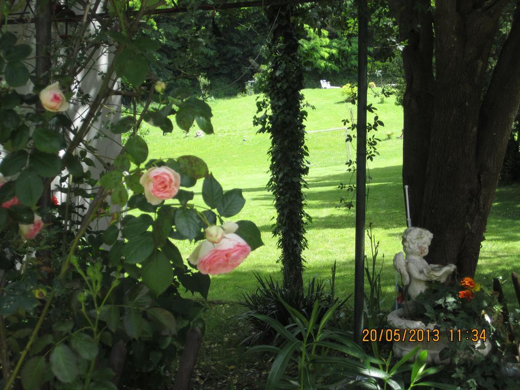 Villa Arianna B&B Lari ภายนอก รูปภาพ