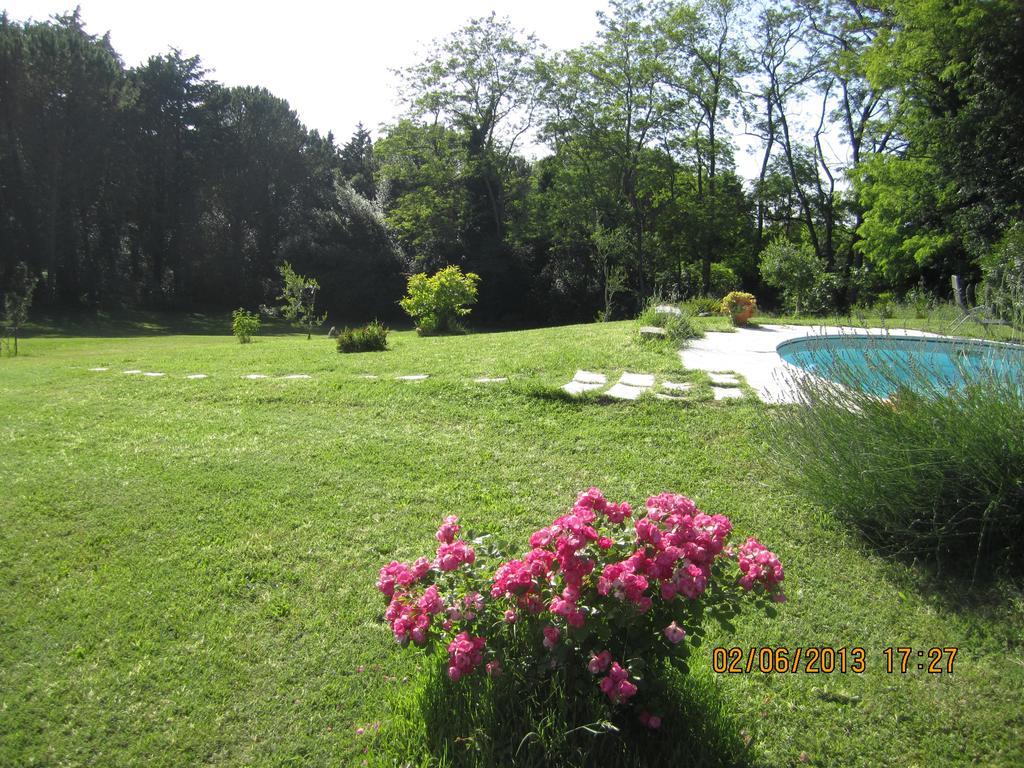 Villa Arianna B&B Lari ภายนอก รูปภาพ
